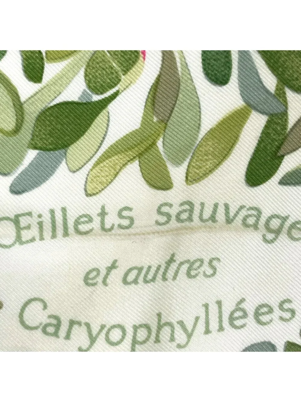 Hermes Carre 90 Oeillets Sauvages Et Autres Caryophyllees Scarf Wild Carnations